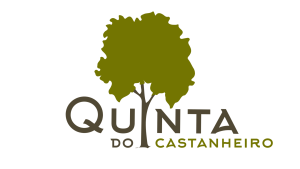 Quinta-do-Castanheiro-1-e1678122000103