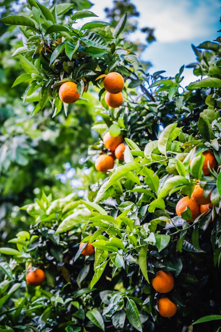 kleine campings portugal