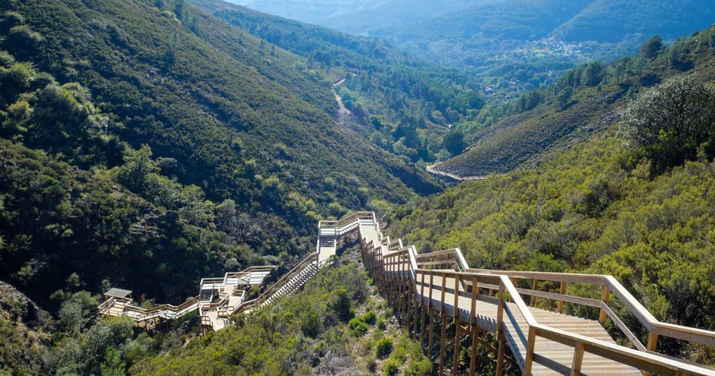 Camping Portugal groen en klein